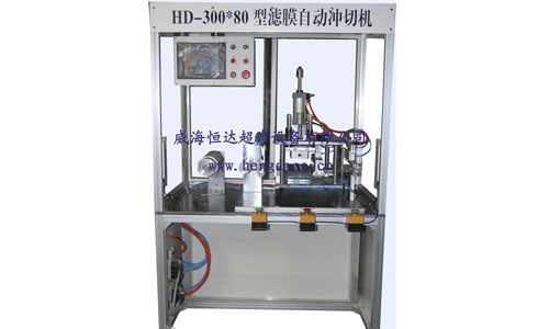 Automatic membrane punching machine